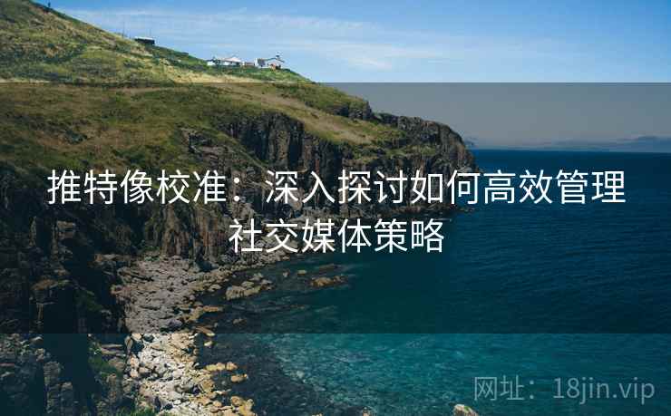 推特像校准:深入探讨如何高效管理社交媒体策略 推特像校准:深入探讨如何高效管理社交媒体策略